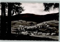 72270 W7292 Röt Foto AK
