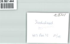 94256 W8371 Drachselsried FOTO KEINE AK Ort handschriftlich