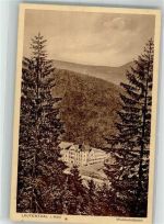 38685 W3394 Lautenthal 1919 - Hotel Waldschlösschen
