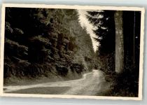 23629 W2401 Pönitz am See, Ostholst Foto AK Waldweg am Pönitzer See