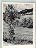 79215 W7807 Elzach - Elztal