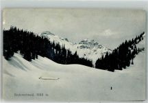 83727 W8162 Bodenschneidhaus b Schliersee 1910 - Winter