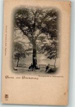 24960 W2392 Glücksburg Ostsee Foto AK Schlossteich Königseiche