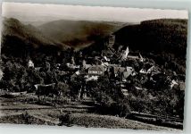 75385 W7264 Zavelstein Foto AK Burg