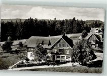 72250 W7290 Zwieselberg , Württ Foto AK Gasthaus Auerhahn