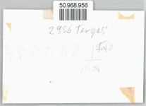 26802 W2956 Tergast - Fotoabzug