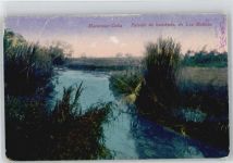 Matanzas - Paisaje de bambues AKU1