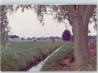 29571 W3115 Rosche - Fotoabzug