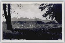 83236 W8212 Übersee - Blick zur Kampenwand