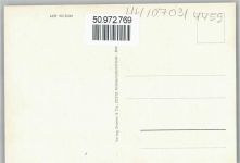 49849 W4459 Wilsum b Emlichheim - Heidelandschaft