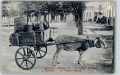 San Miguel de Abona - Ortsansicht