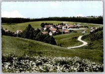 38678 W3392 Buntenbock