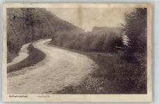 21493 W2053 Schwarzenbek Gebrauchsspuren Waldpartie
