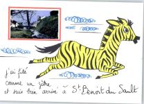 36170 Saint-Benoit-du-Sault - Leporello, Zebra