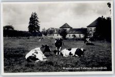 63263 W6078 Gravenbruch - Waldrestaurant Forsthaus , Kuhweide