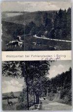 37603 W3450 Fohlenplacken - Waldpartien