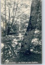 23714 W2423 Malente-Gremsmühlen - Im Holm an den Quellen