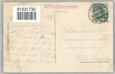 78462 W7750 Insel Mainau Lithographie 1911
