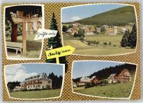 79853 W7825 Saig