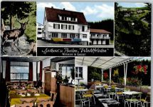 63863 W8751 Wildensee , Unterfr Werbe AK Gasthaus Pension "Haus Waldfrieden"