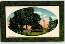 67360 Woerth Wörth an der Sauer Lithographie / Künstlerkarte Mac Mahon Baum