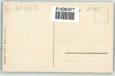 67360 Woerth Wörth an der Sauer Lithographie / Künstlerkarte Mac Mahon Baum