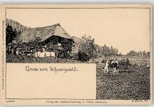 Schwarzwaldhaus Daur, H. Künstlerkarte