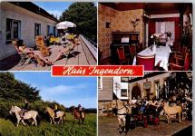 63688 W6473 Gedern - Pension Gasthaus Ingendorn Reiter Pferde