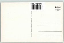 23746 W2436 Kellenhusen (Ostsee) - Kroneneiche