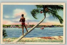 Nassau - from Hog Island