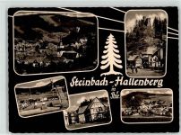 98587 O6081 Steinbach-Hallenberg - Schwimmbad