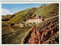23030 Bianzone - Wein