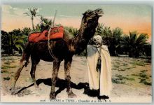 Scenes et Types Chamelier et sa bete Kamel Palmen Motiv Algerien