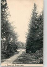 18225 O2565 Brunshaupten Kühlungsborn, Ostseebad