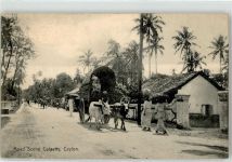 Colombo - Straße Ochsenkarren