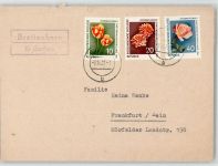09306 O7231 Breitenborn KEINE AK Landpoststempel
