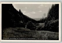 75328 W7542 Langenbrand , Württ Foto AK Förtelbachtal