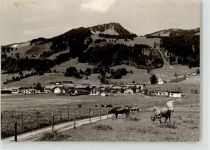 87538 W8975 Bolsterlang
