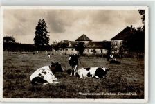63263 W6078 Gravenbruch - Forsthaus Gravenbruch Gasthaus Kühe
