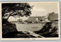 25980 W2280 Sylt-Ost Foto AK Feldweg Pferdewagen