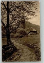79261 W7809 Gutach im Breisgau - Schwarzwaldidyll Bauernhaus Weg