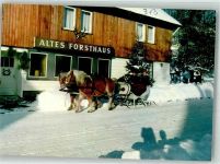 37520 W3360 Kamschlacken Winter Pferdeschlitten vor Hotel Altes Forsthaus
