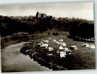 65594 W6258 Runkel , Lahn Foto AK Schloss Schadeck Campingplatz