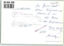 66709 W6649 Weiskirchen , Saar FOTO KEINE AK Pferde Foto Original aus Archiv eines Ansichtskartenverlages Ort handschriftlich