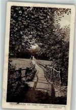06507 O4302 Bad Suderode - Waldweg nach Stecklenberg ü.d. Elfenwiese