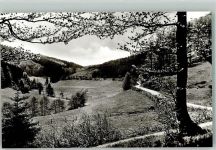 29614 W3040 Willingen Foto AK Blick ins Hoppecketal