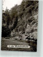 79879 W7821 Wutach - Schlucht Foto Original aus Archiv eines Ansichtskartenverlages