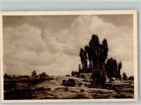 W3045 Wilsede , Kr Soltau Lüneburger Heide Bild 5 Fotograf August Rupp Reichswinterhilfe-Lotterie WHW Deutschlandserie 1935 Foto AK