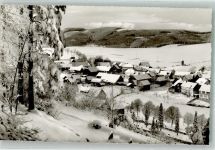 34508 W3542 Rattlar Foto AK Winter