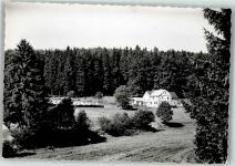 57339 W5927 Zinse FOTO KEINE AK Ort handschriftlich Foto Original aus Archiv eines Ansichtskartenverlages